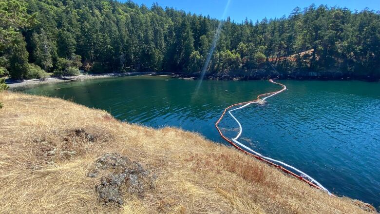 A series of operational barriers lie across a water body.