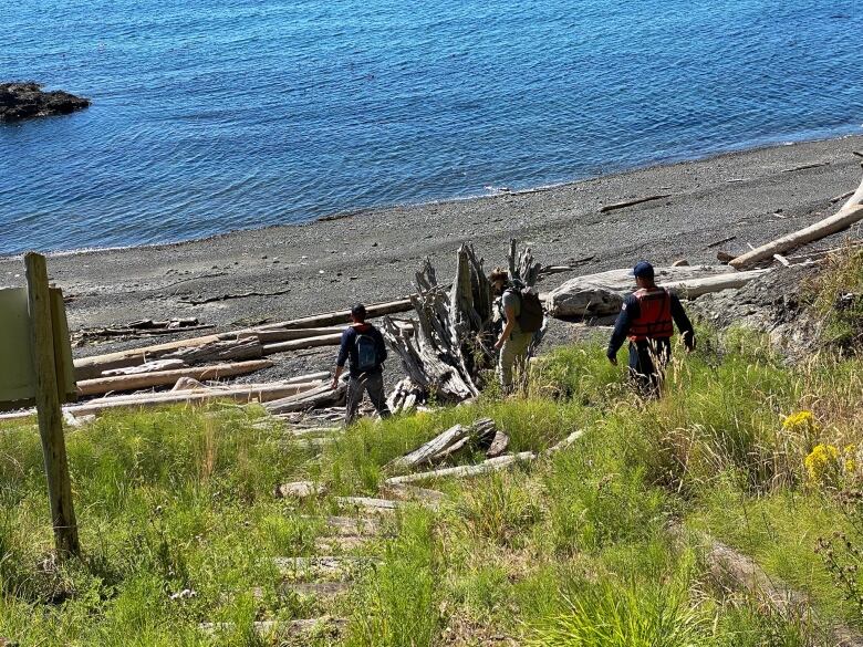 A number of divers with identical clothes approach a beach with multiple logs.