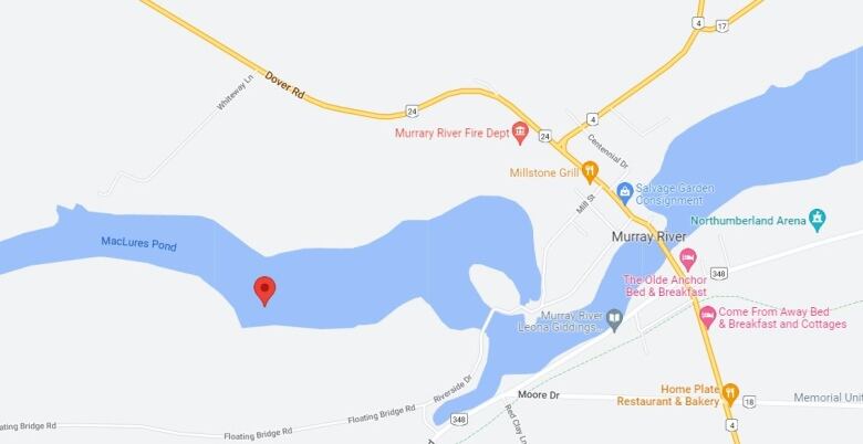 Google map showing the town of Murray River with the location of MacLures Pond marked.