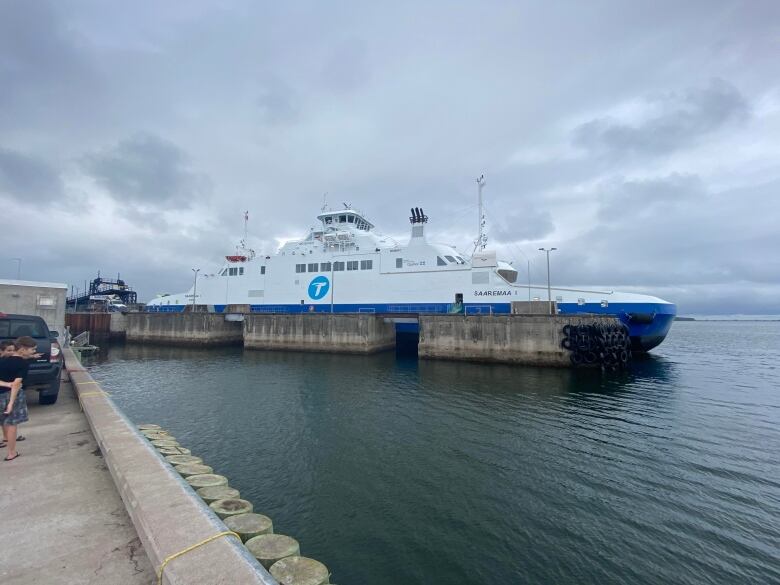 A large boat is docked at a pier. 