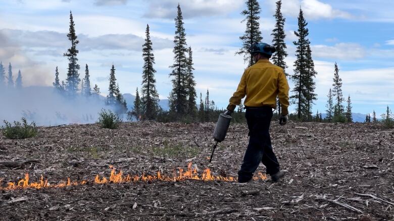 Firefighter lighting fire at the controlled fire project in Mary Lake area