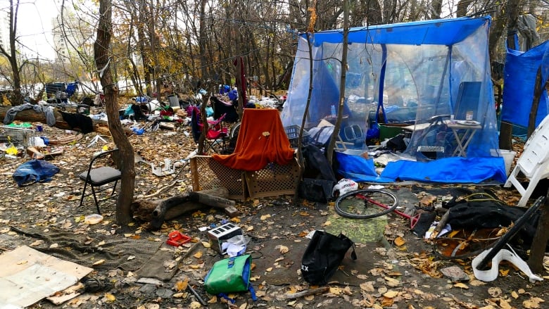 A tent and other items sit inside a forest next to a river.