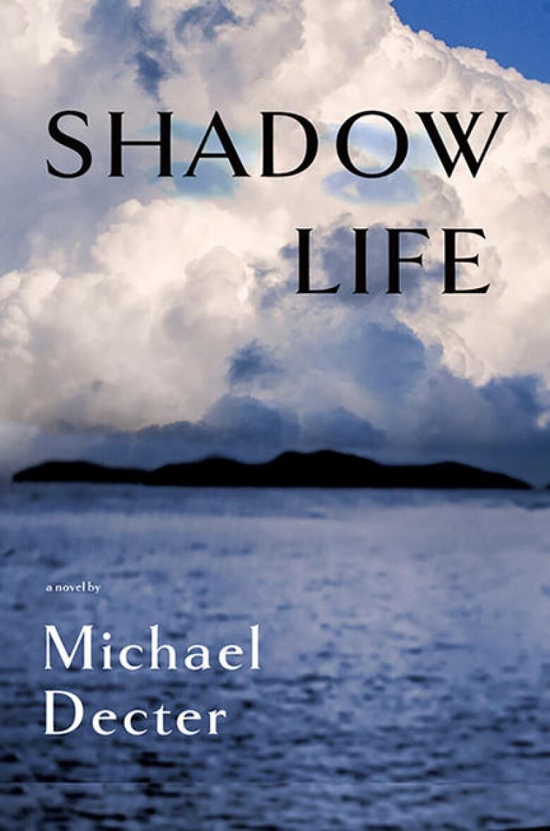 The Shadow Life book cover depicting an ocean.