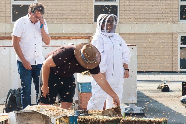 Three people stand beside bee hives surrounded by swarming bees.