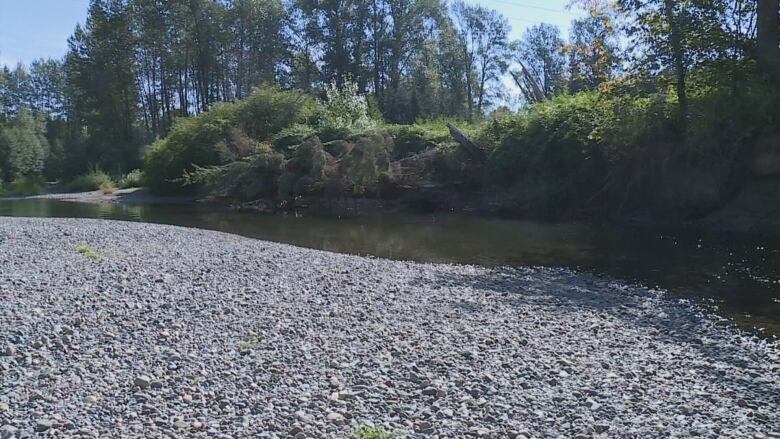 Photo shows a very dry river, with more rocks than water. 