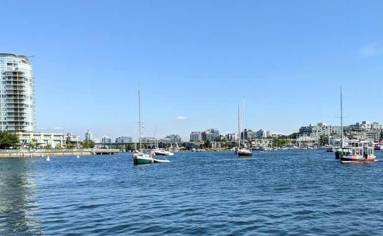 False Creek, Vancouver B.C.