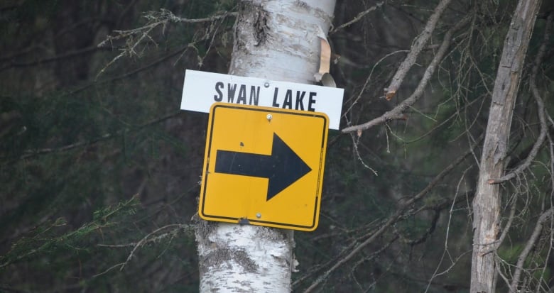 A sign pointing the way to the community of Swan Lake is nailed to a birch tree in the bush north of Kirkland Lake. 