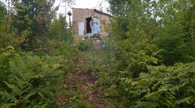 At the top of a hill, at the end of a rough path through the brush, is a small house under construction. 