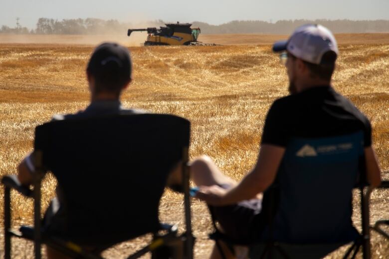 Two men sit on chairs watching a combine harvester drive through a wheat field.