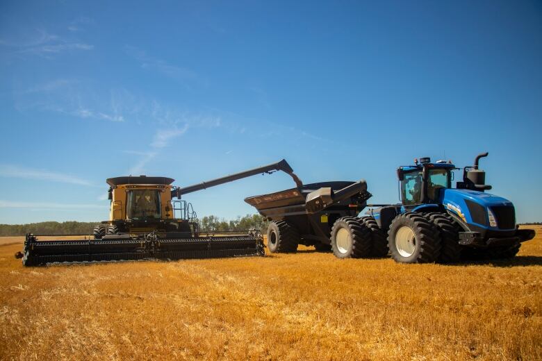 A combine harvester drops wheat in a grain cart.