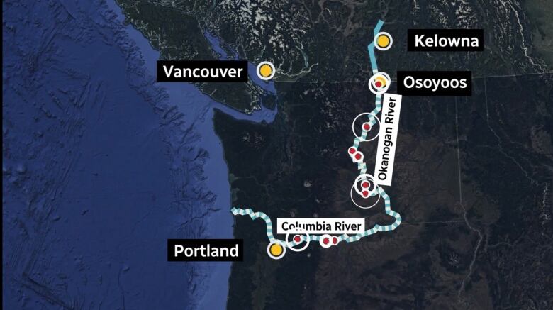 A route showing salmons swimming upstream from a river that ends in the Pacific Ocean near Portland, U.S., and ends upward of Kelowna in the southern Interior of B.C.