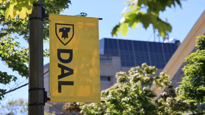 Photo of DAL banner with blurred photo of university building in the background.