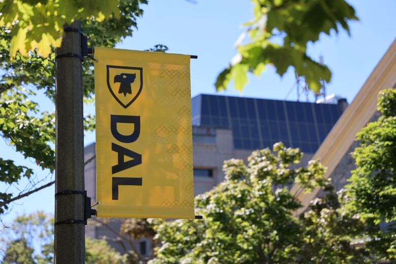 Photo of DAL banner with blurred photo of university building in the background.