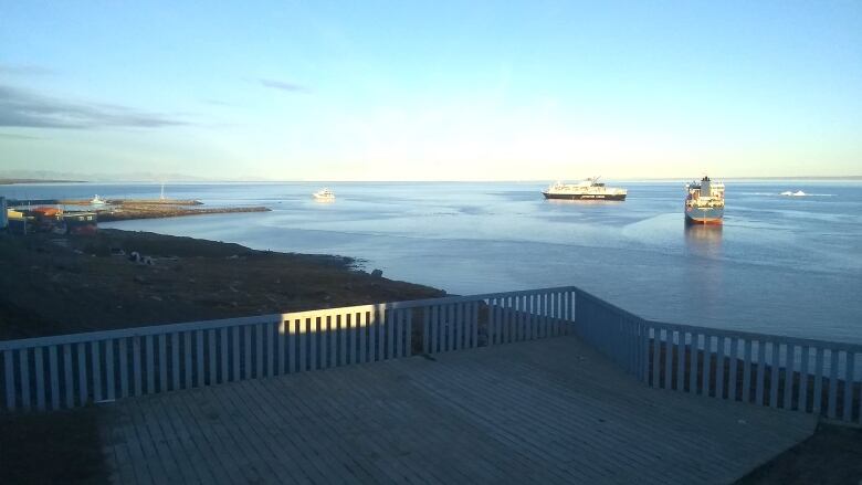 Two cruise ships, viewed from a deck, lounge in a bay of water near the shoreline of a community.