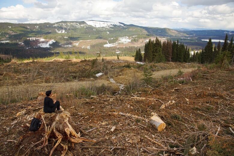 An area of land looks stripped of trees, with a person sitting on a large stump in the foreground.