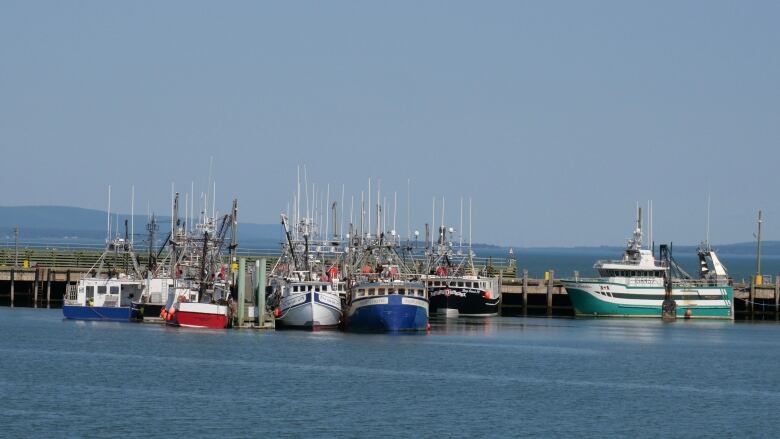 Colourful fishing boats docked at Digby waterfront.