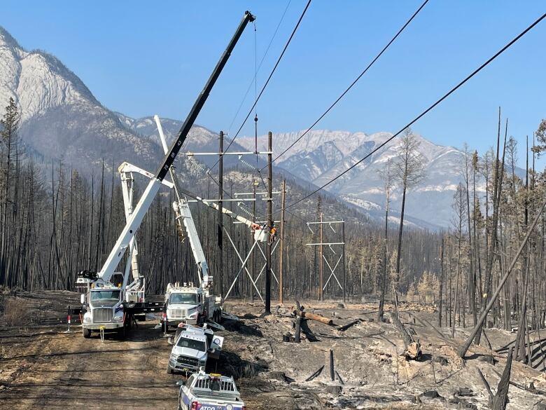 Several utility trucks are on a dirt road, one of has a crane that is holding up a man in a safety suit. The man is working on powerlines. There are scorched trees to the right of the trucks. Mountains are in background. It's a sunny day with a clear blue sky.