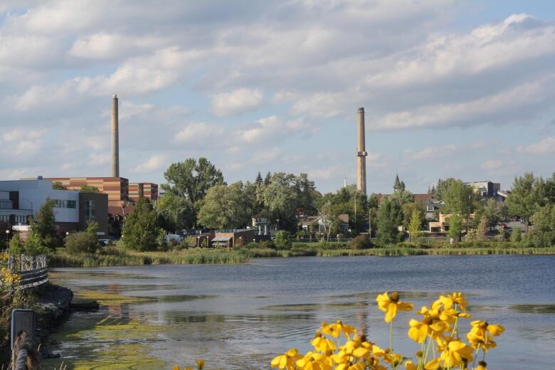 A lake and flowers in foreground. Smoke stacks in distance.