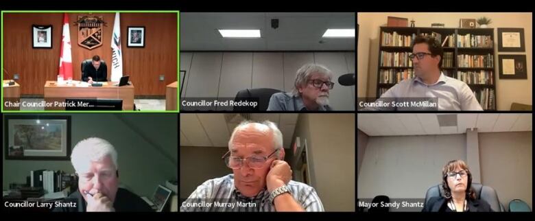 Screenshot of council meeting held over online video platform.