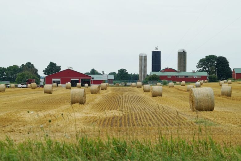 A farm field with red barns in the background.