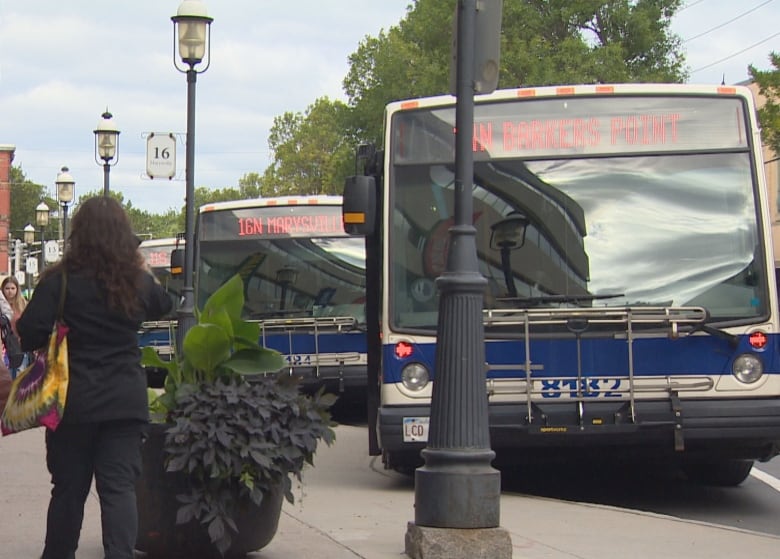 People walk on the sidewalk next to Fredericton Transit buses at King's Place Mall.