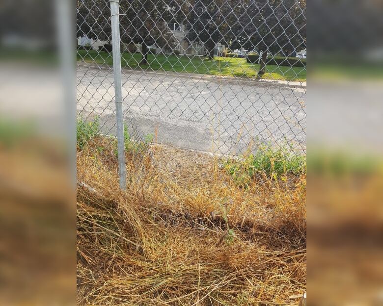 A chainlink fence with a clearly visible hole in it.