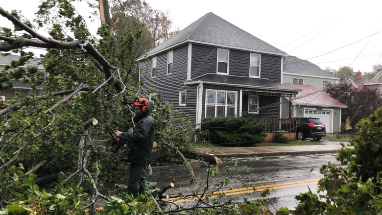 A contractor uses a chain saw to clear downed trees.