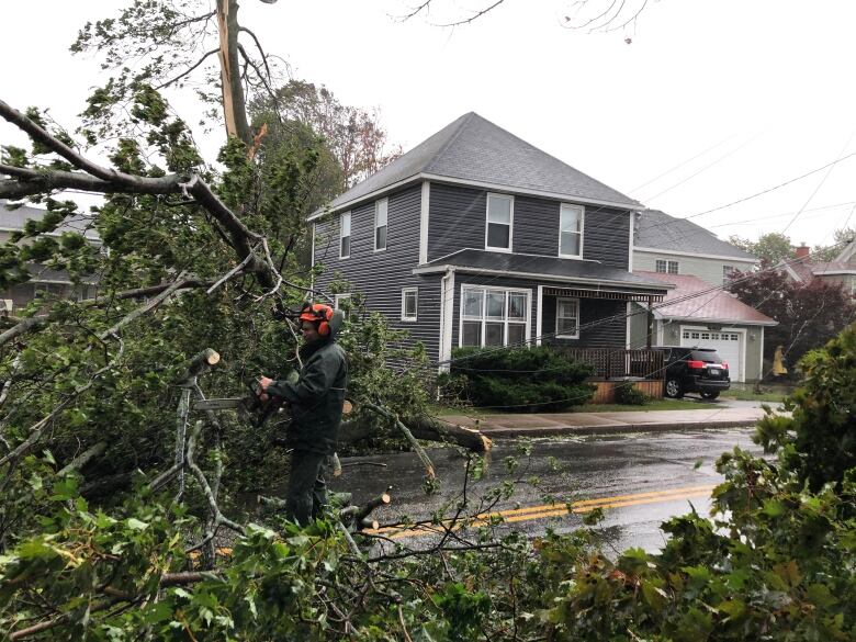 A contractor uses a chain saw to clear downed trees.