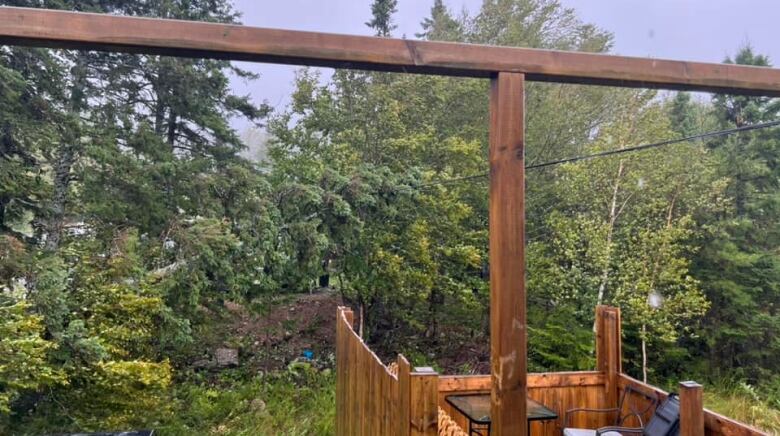 A tree hangs on a powerline in Eskasoni First Nation 