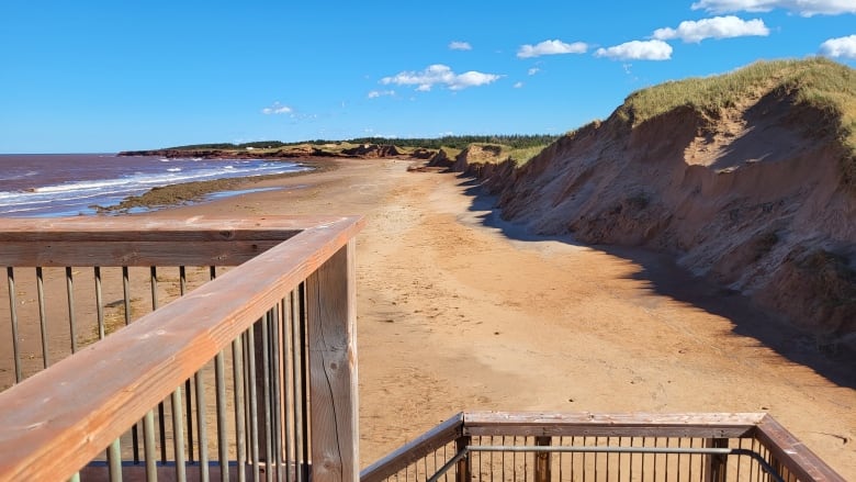 Dune erosion at P.E.I. National Park.