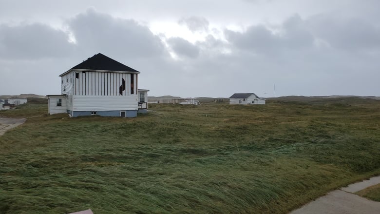 A white building stands amid the grass on Sable Island. It is missing siding on one whole side of the upper floor.