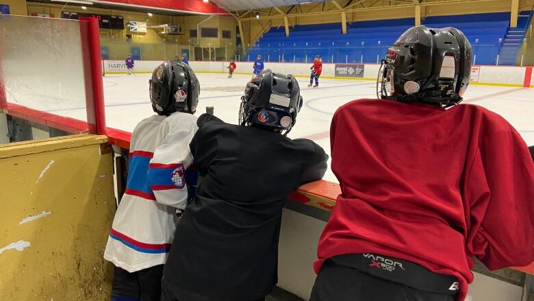 Young hockey players watch a practice at the DF Barnes arena in St. John's. This year some hockey coaches in the province must take free and mandatory sexual violence prevention training.