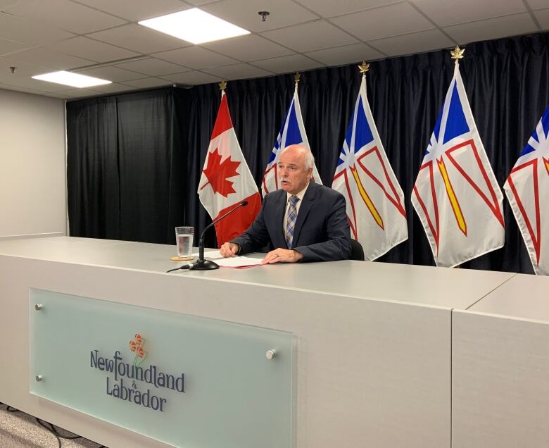 A person sits at a table on a raised platform speaking into a microphone. Behind the person are some Newfoundland and Labrador and Canadian flags. In front of the table is a sign with the Newfoundland and Labrador logo.