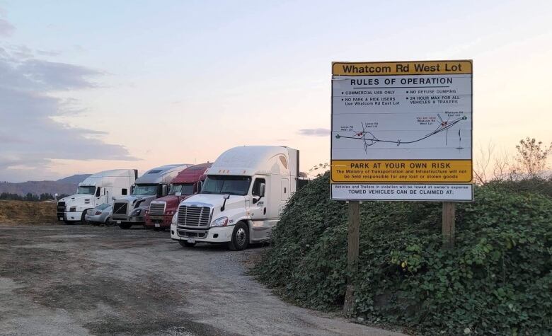 A group of trucks lined up in a parking lot.