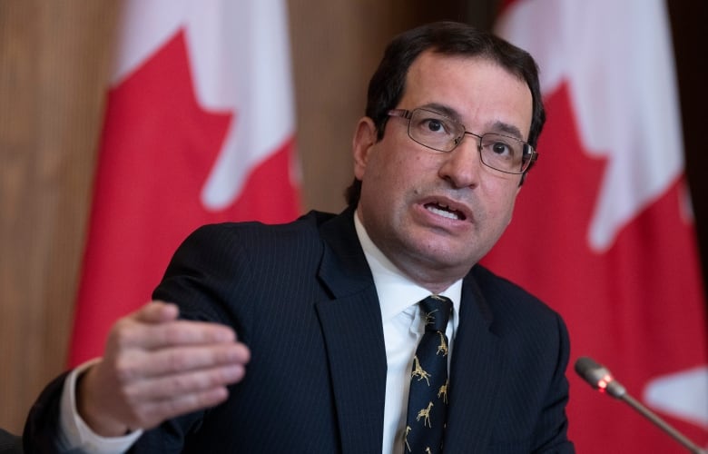 A man in a black suit and tie in front of a row of Canadian flags.