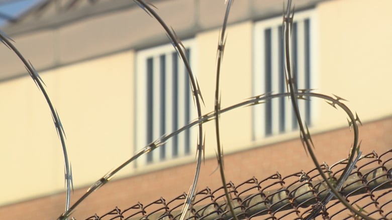 A close up of barbed wire atop a chain link fence outside a detention centre on a sunny, blue sky day