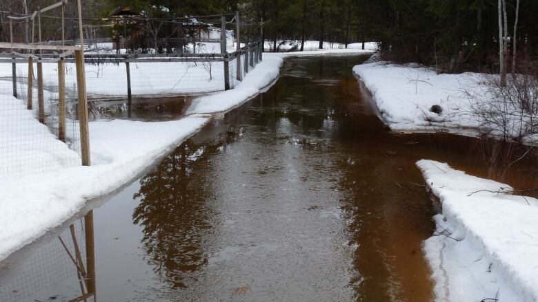 A river of brown water is seen on snowy pavements.