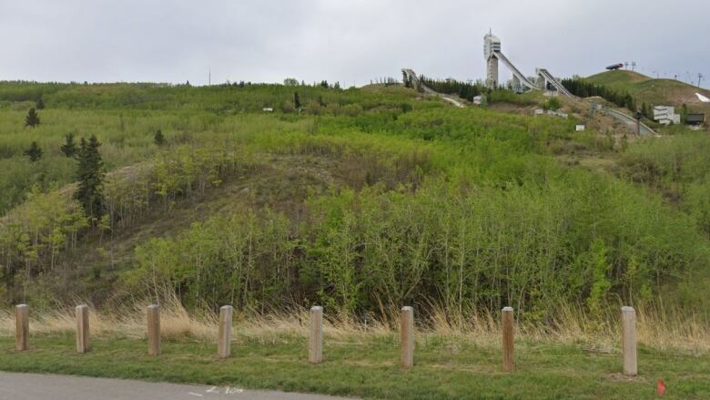 A forested area east of the ski jump at Canada Olympic park is seen. The City of Calgary has purchased a parcel east of the old ski jumping facilities at Canada Olympic Park to add to its land set aside for the creation of a future park on the Paskapoo Slopes.