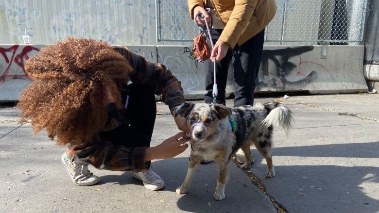 Zora the dog in front of a metro station with her owners