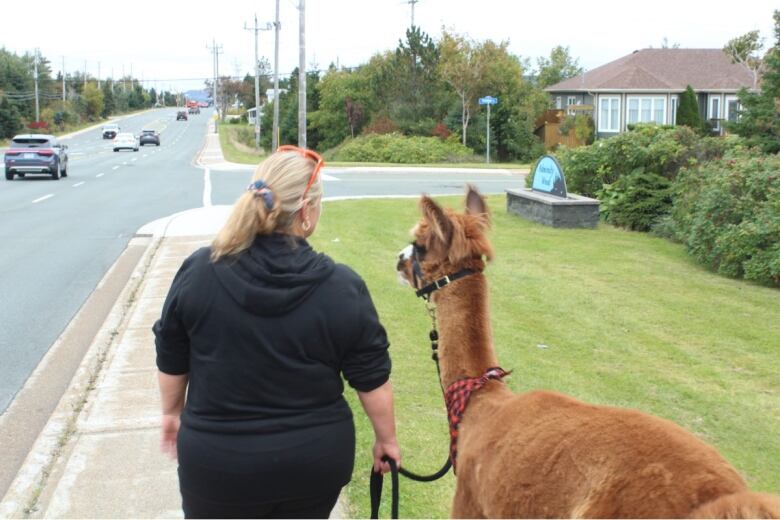 A woman walks down a city street with an alpaca on a leash.