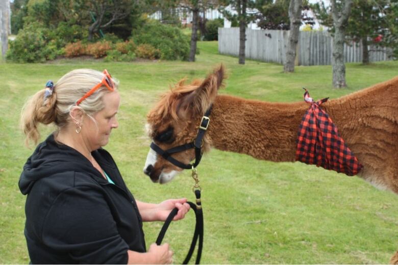 A woman faces an alpaca on a leash.