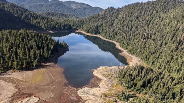 A lake with dried-up banks amid a forest.