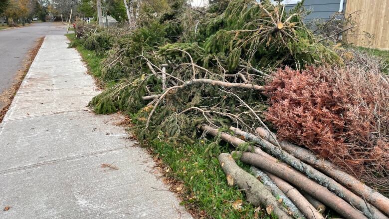 Pile of small logs and brush by a Charlottetown sidewalk.