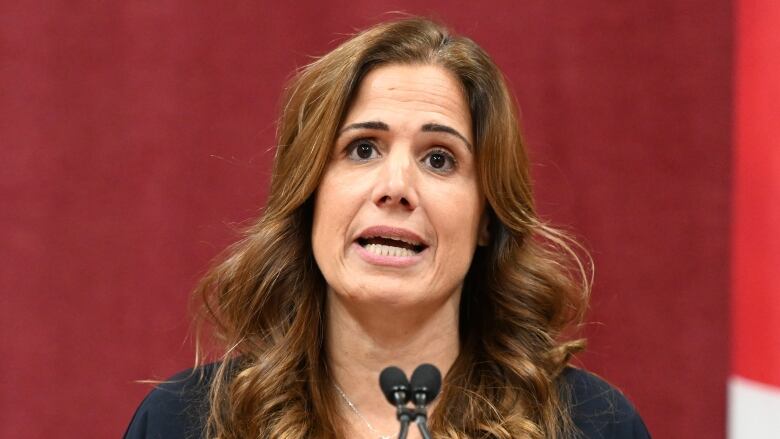 A woman in front of two small microphones. She has long brown hair.