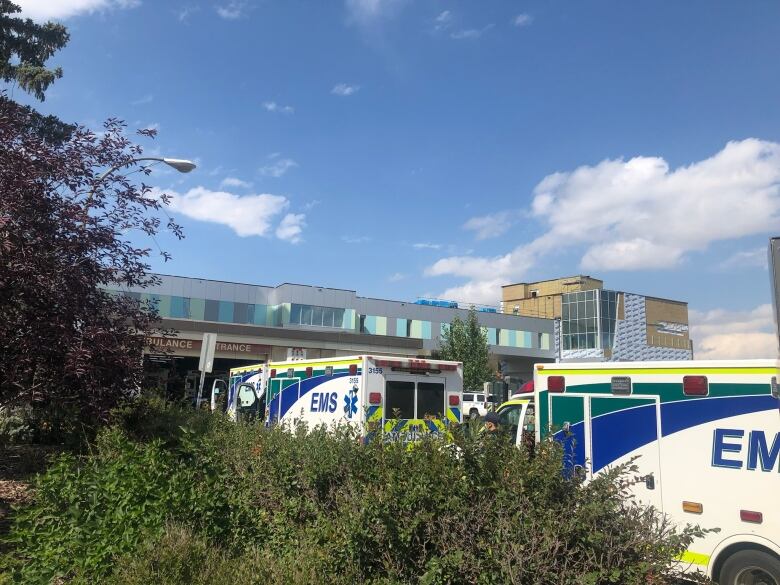 Ambulances lined up outside a hospital.