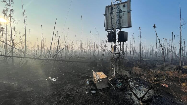 A wire structure stands amidst burned trees.