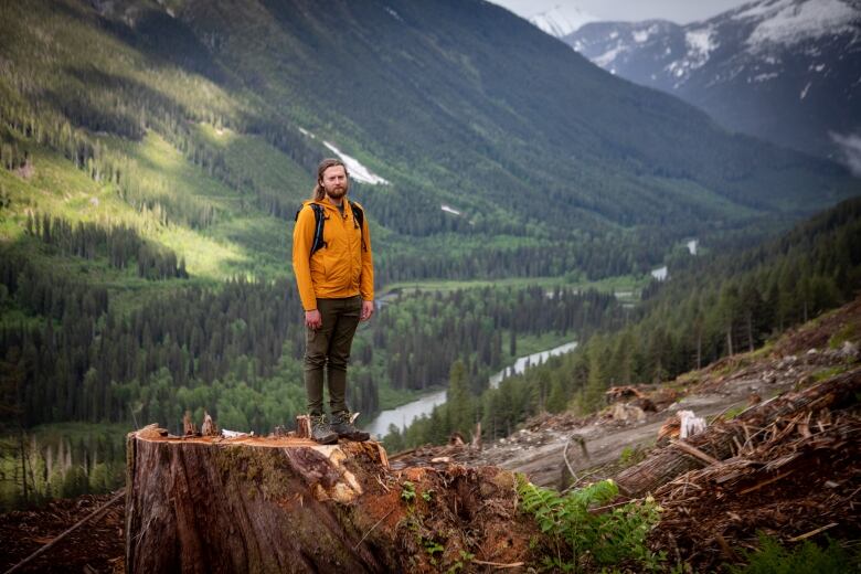 A long-haired man stands on a stump amid a beautiful forest.