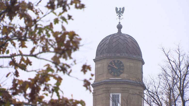 The clock tower of a building on campus is seen in the background, framed by autumn leaves on a nearby tree.