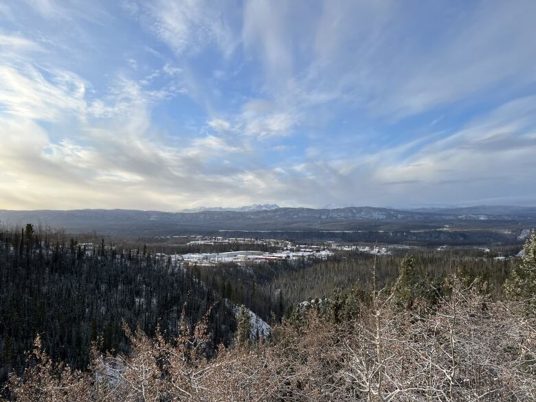 A small town lies nestled in the midst of a forest of trees, with mountains rising high in the distance.