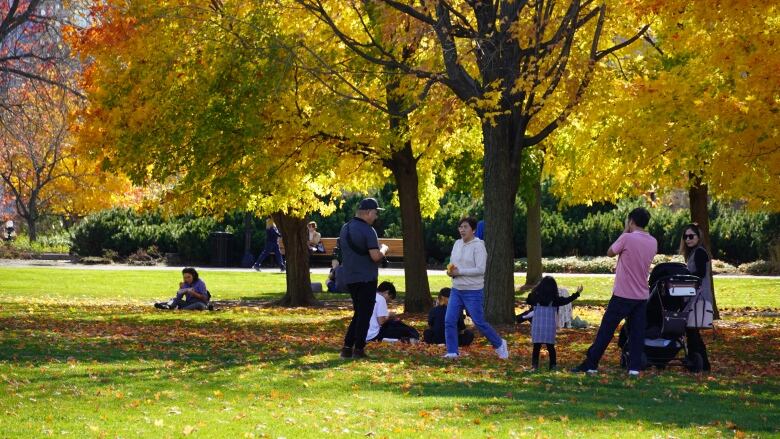 A group of people with kids under a tree with autumn-coloured leaves.